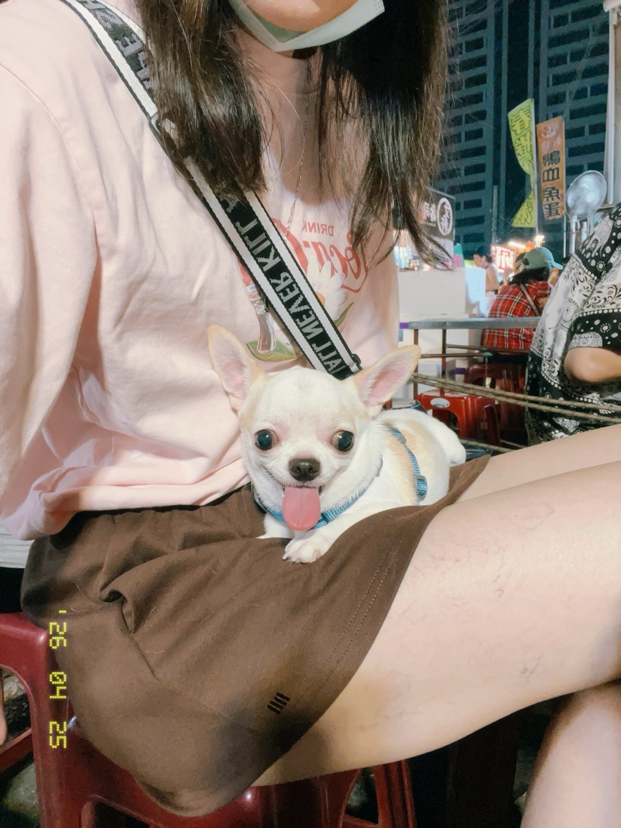 台南花園夜市 | 去趣 chicTrip