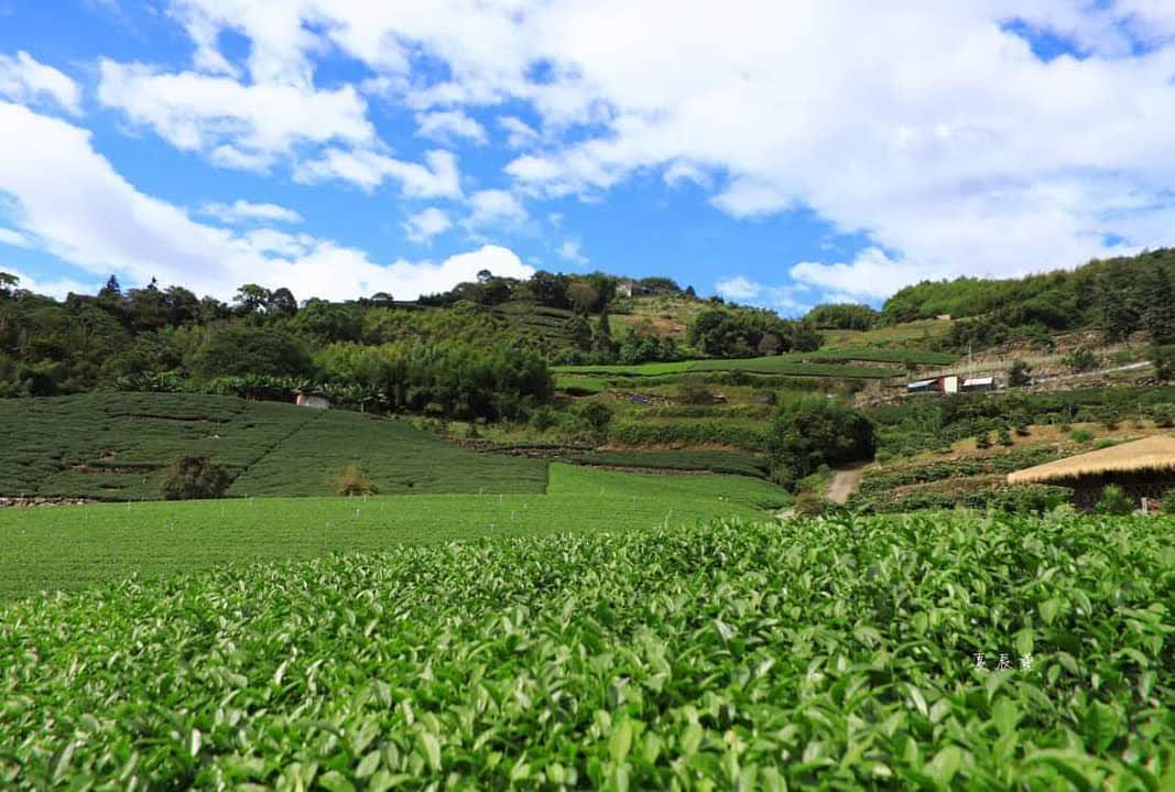 優遊吧斯鄒族文化部落 | 去趣 chicTrip