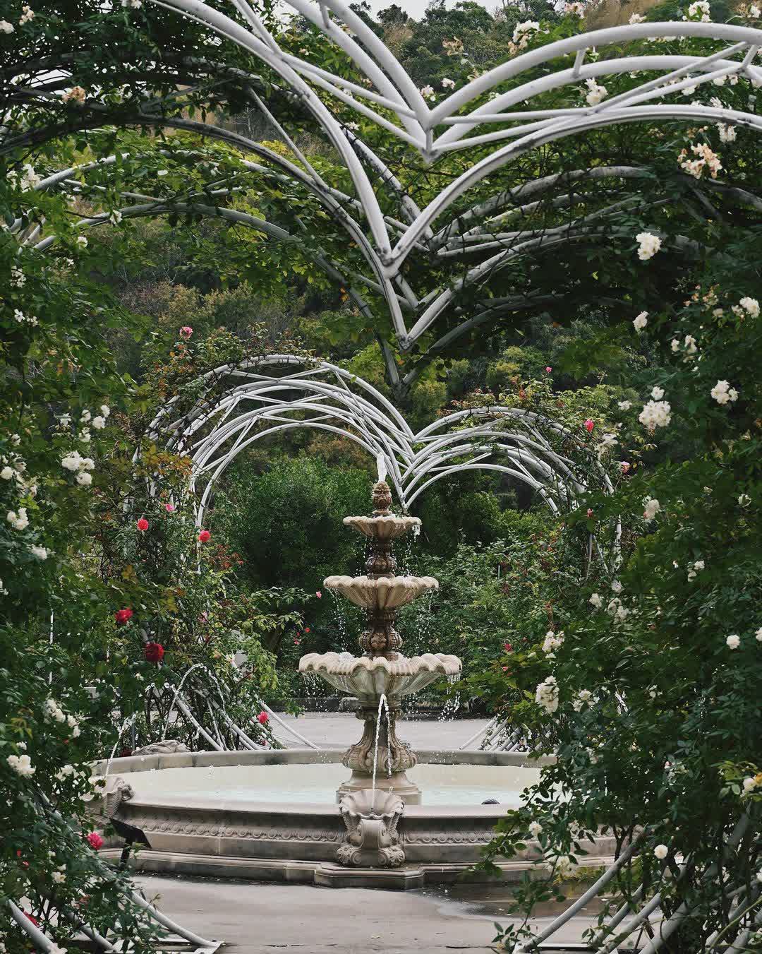 雅聞七里香玫瑰森林 | 去趣 chicTrip