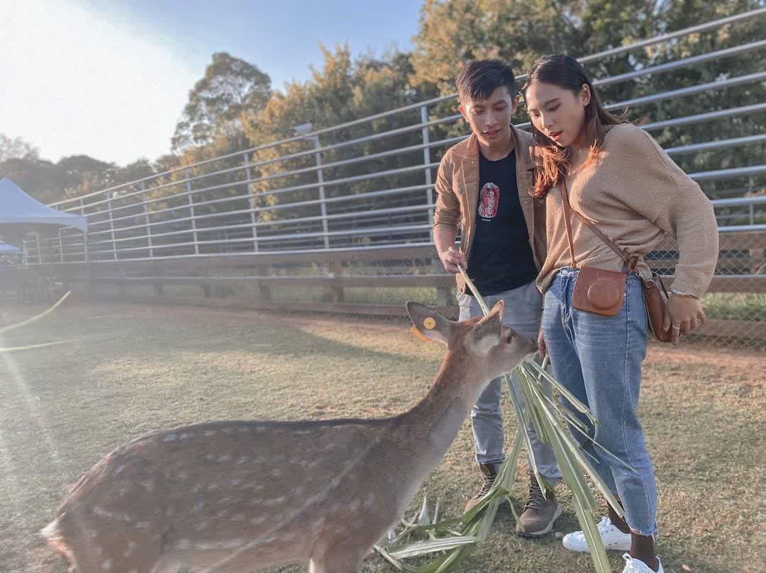 埔心牧場 | 去趣 chicTrip