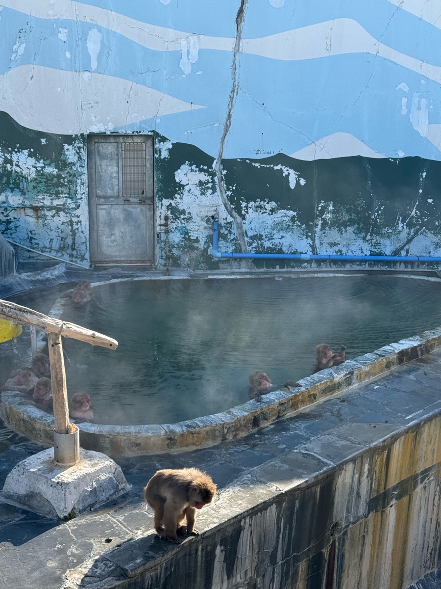 洞爺湖萬世閣酒店 | 去趣 chicTrip