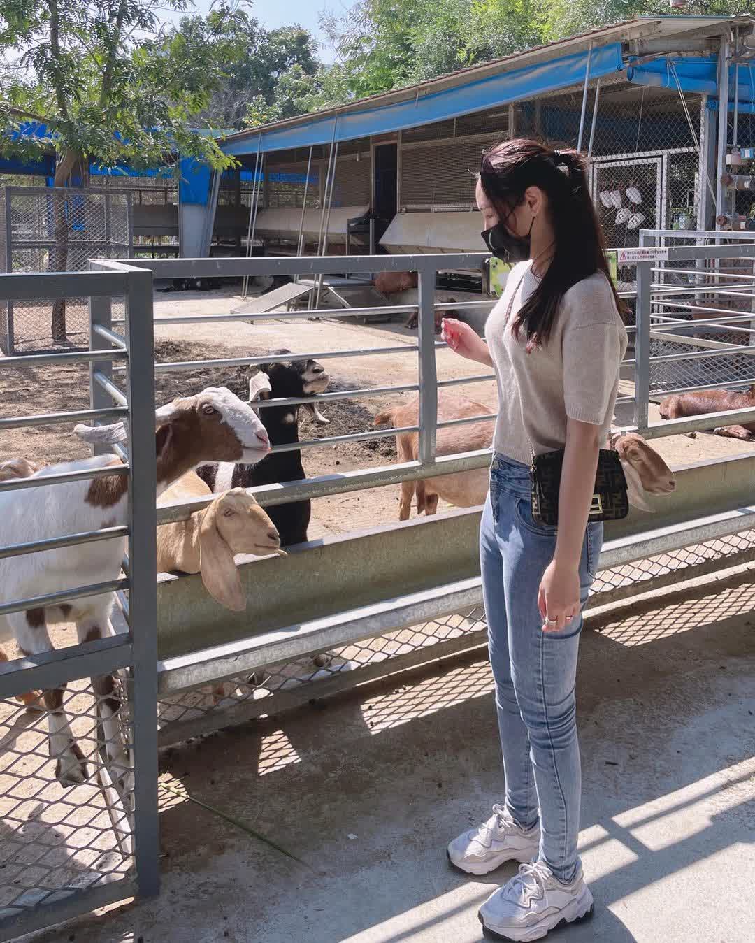 樹谷農場 | 去趣 chicTrip