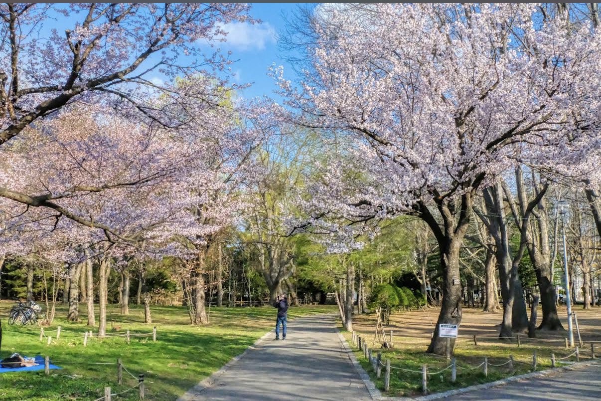 圓山公園 | 去趣 chicTrip