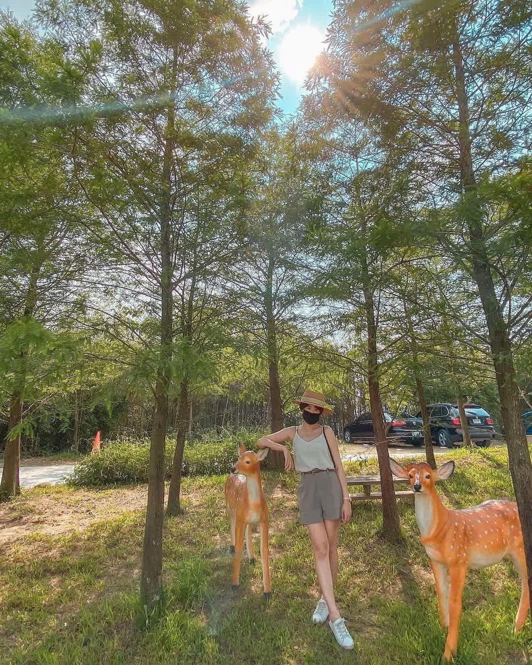 天空之城景觀餐廳 | 去趣 chicTrip