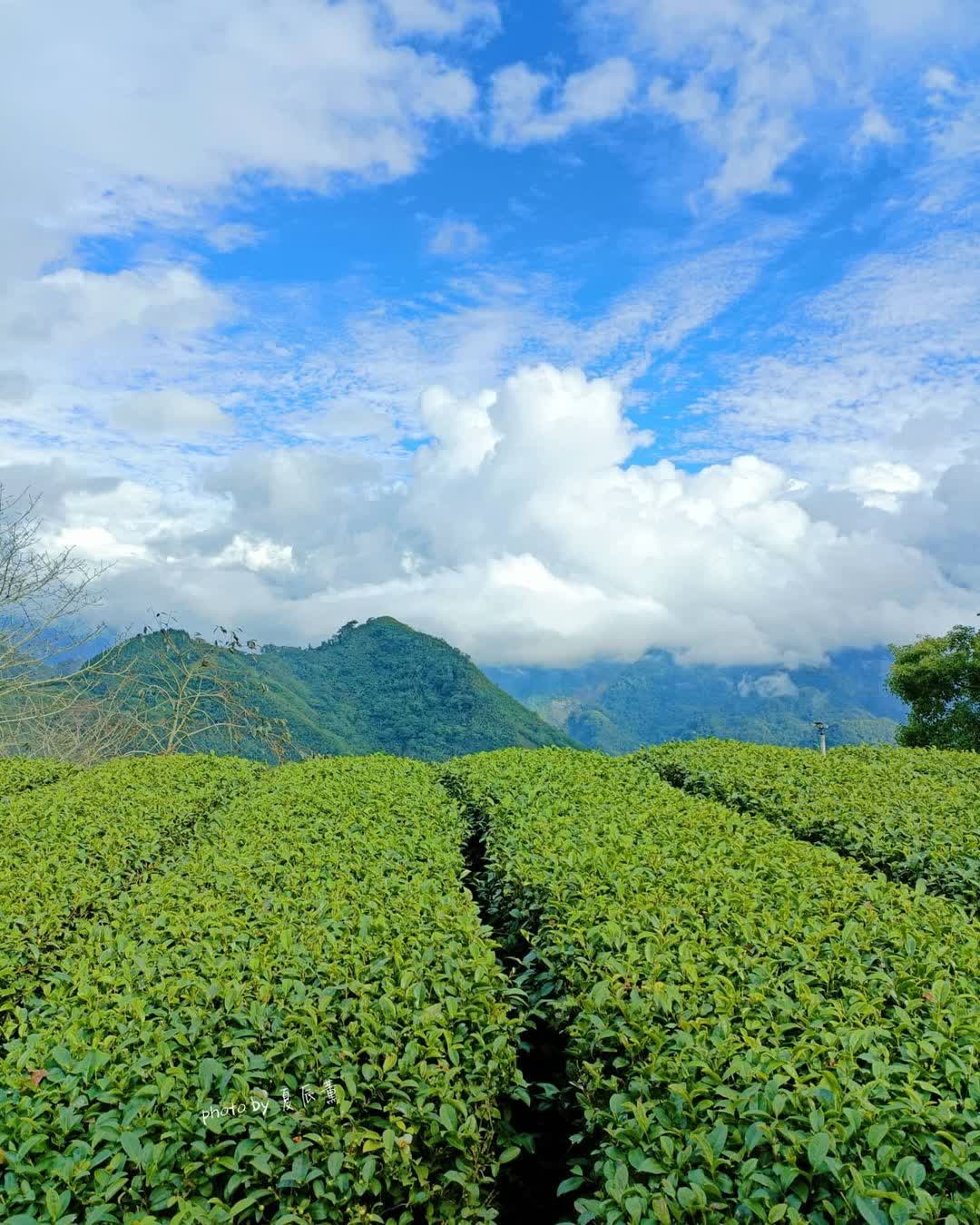 二延平步道 | 去趣 chicTrip