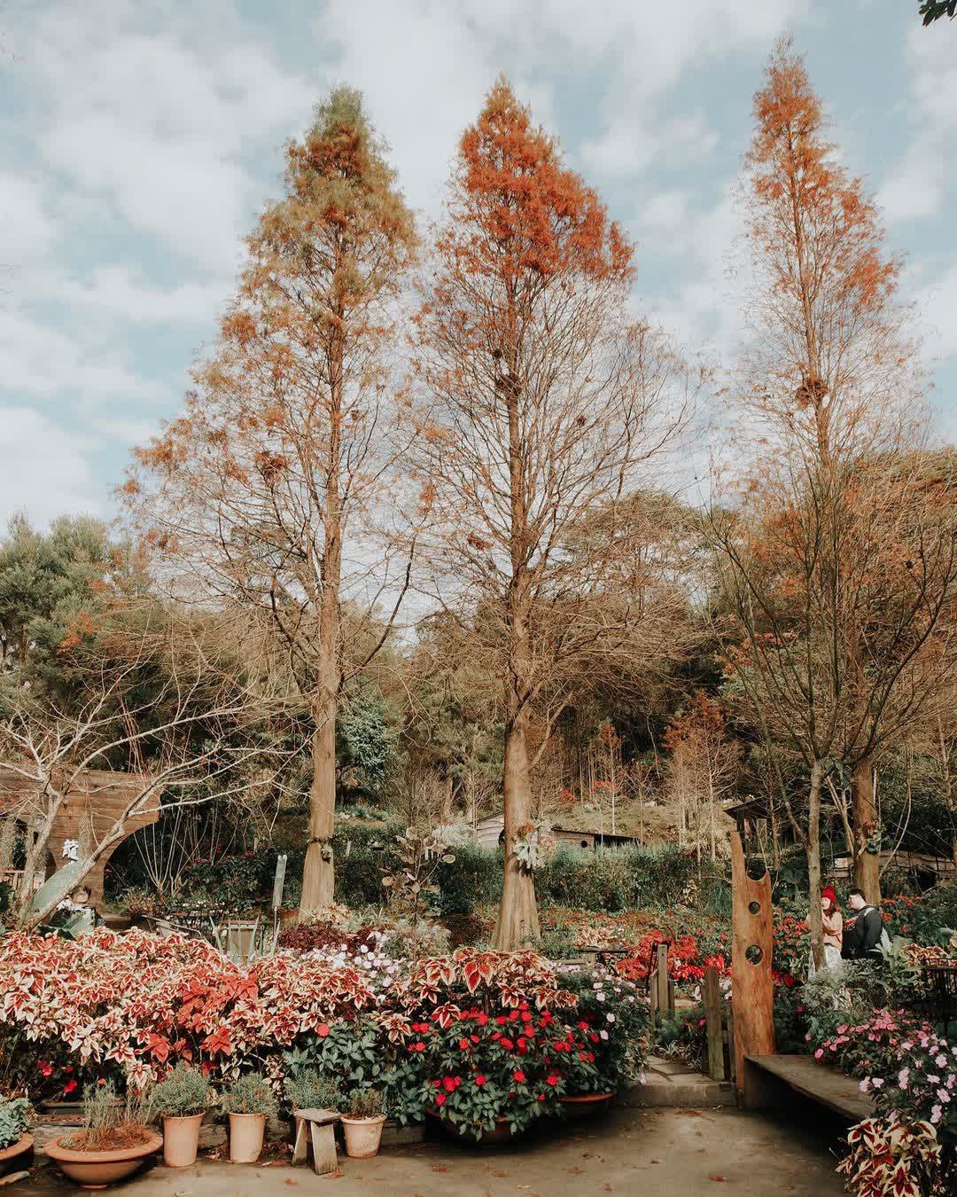 卓也小屋渡假園區 | 去趣 chicTrip