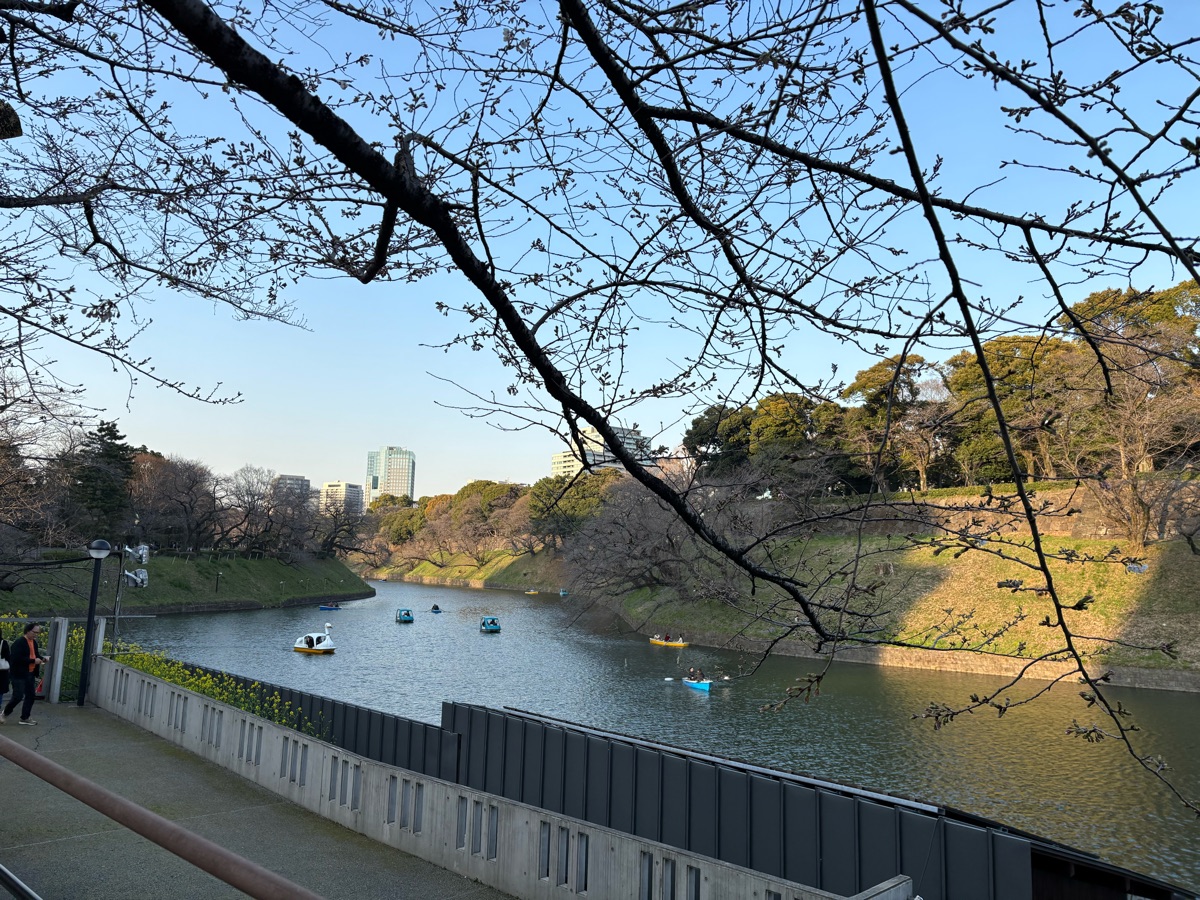 千鳥之淵公園 (西側) | 去趣 chicTrip