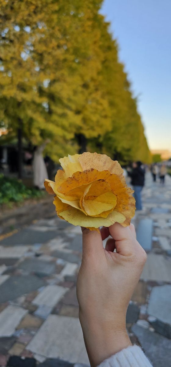 昭和紀念公園 | 去趣 chicTrip