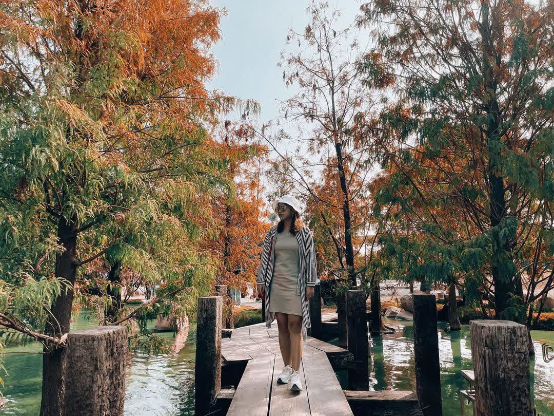 澄霖沉香味道森林館 | 去趣 chicTrip