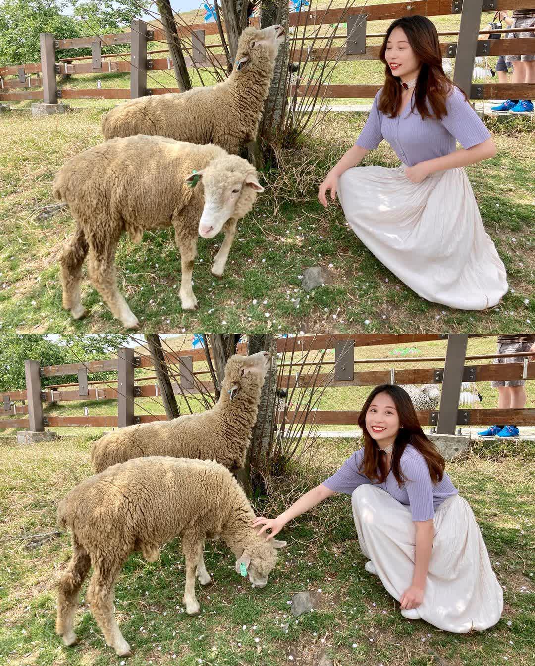 清境農場青青草原 | 去趣 chicTrip