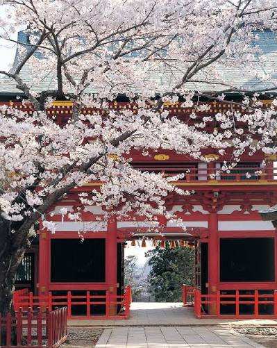鹽竈神社 | 去趣 chicTrip