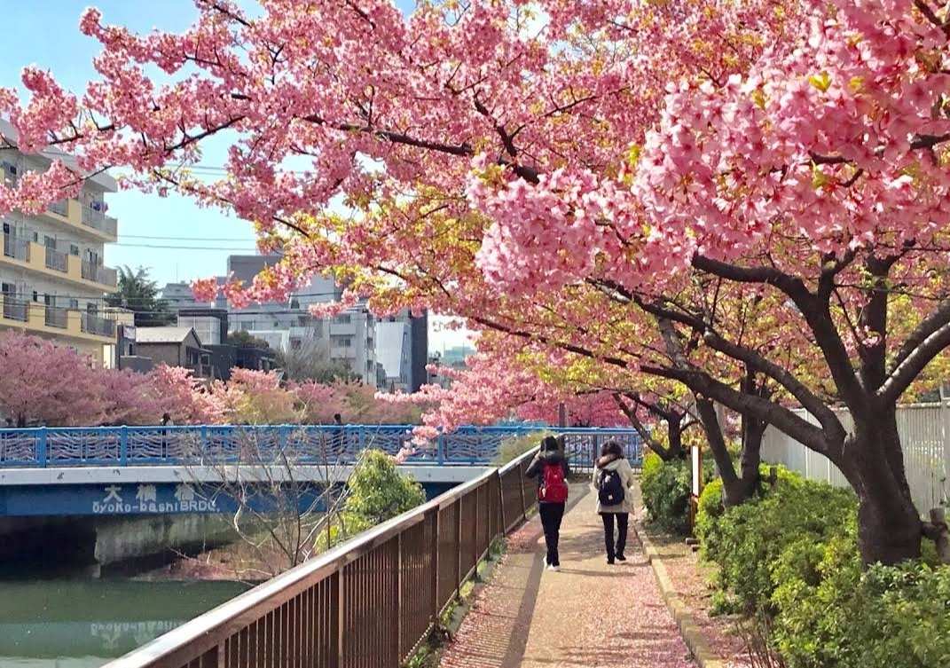 木場公園 | 去趣 chicTrip