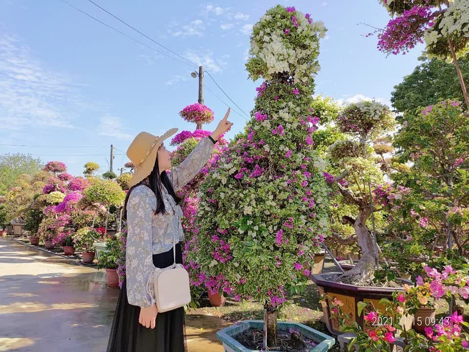 輝豐園藝 | 去趣 chicTrip
