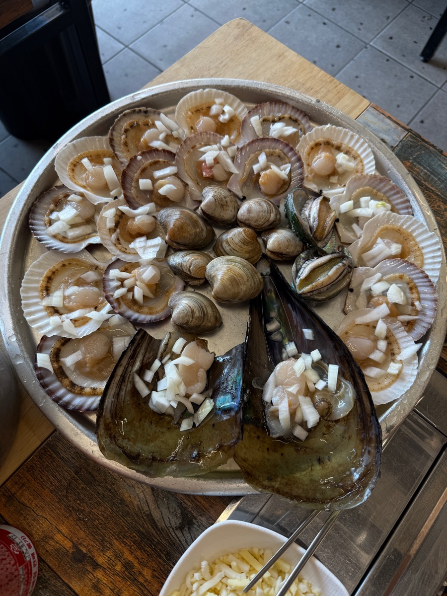 海底貝殼王國 | 去趣 chicTrip