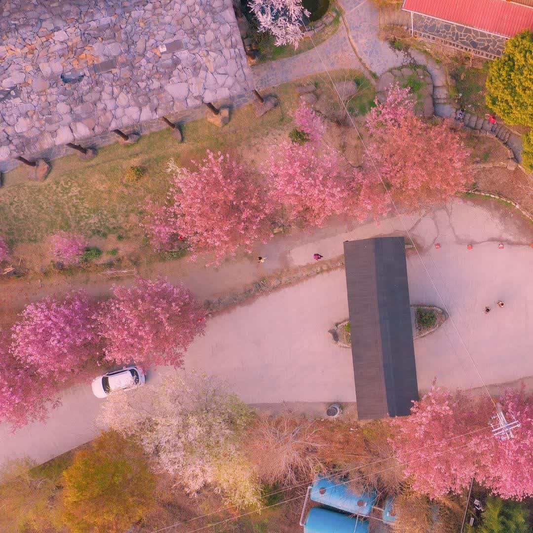 司馬庫斯 | 去趣 chicTrip