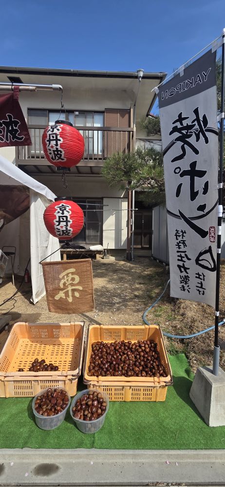 河津櫻 | 去趣 chicTrip
