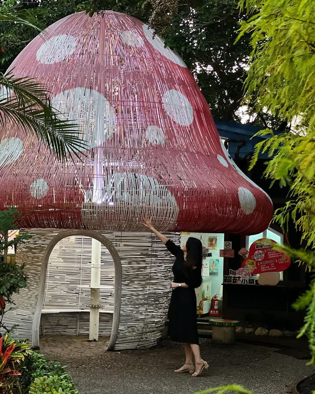 清境農場、紙箱王、Restaurant、親子美食寵物友善餐廳清境紙箱王 | 去趣 chicTrip