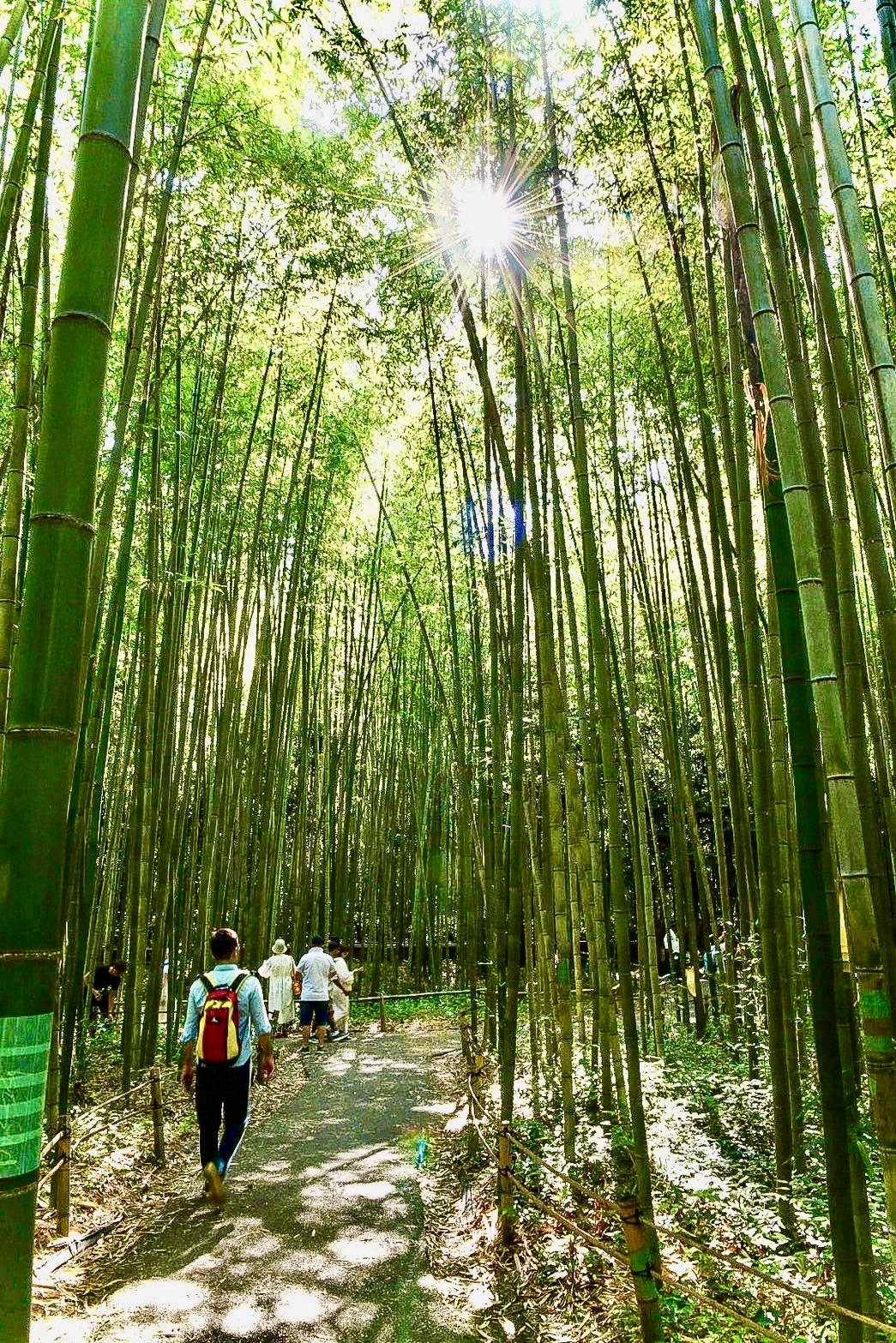 嵐山竹林小徑 | 去趣 chicTrip