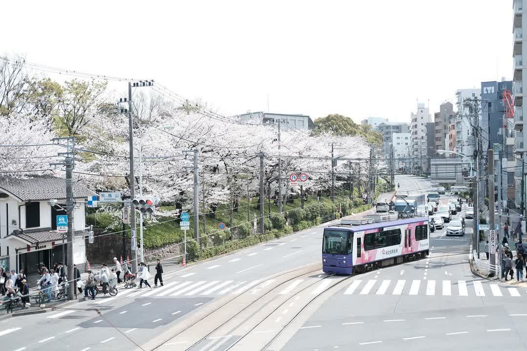 飛鳥山公園 | 去趣 chicTrip