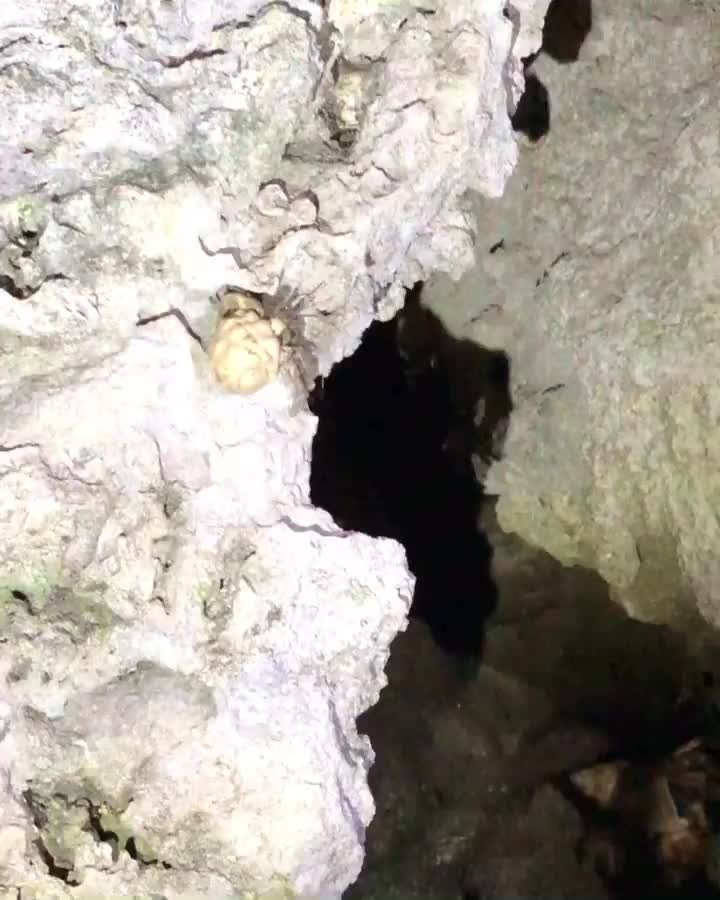 小野柳 | 去趣 chicTrip