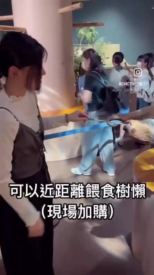 DMM Kariyushi水族館 | 去趣 chicTrip