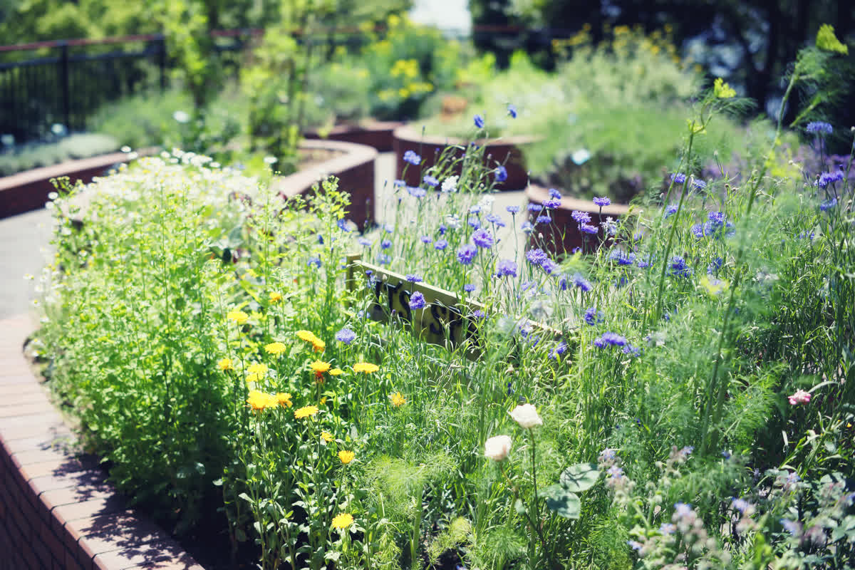 神戶布引香草園 | 去趣 chicTrip