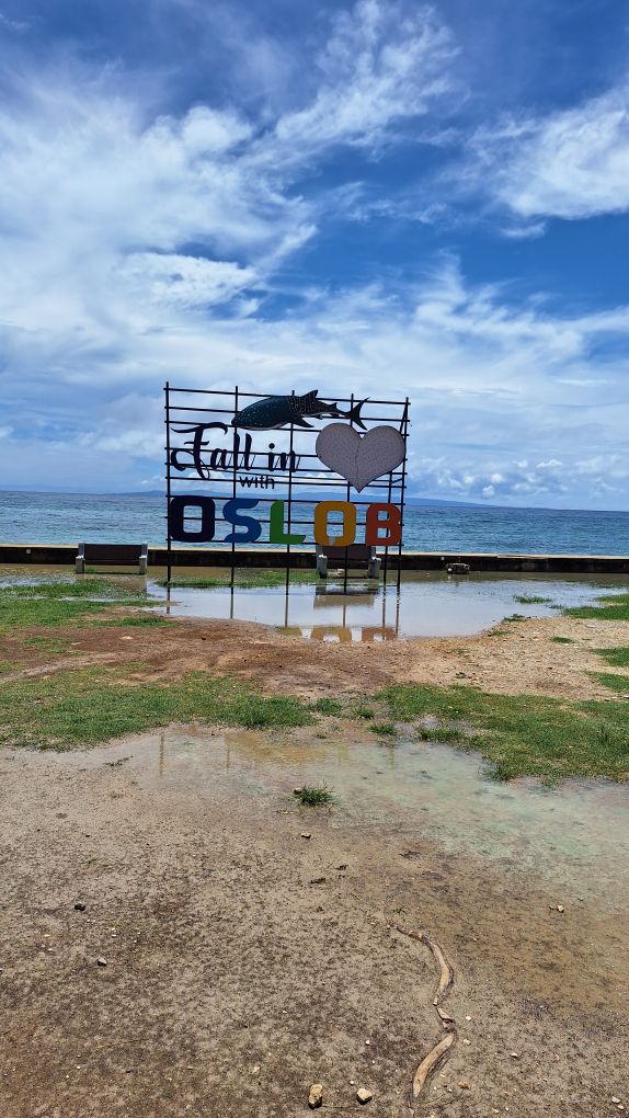 Oslob | 去趣 chicTrip