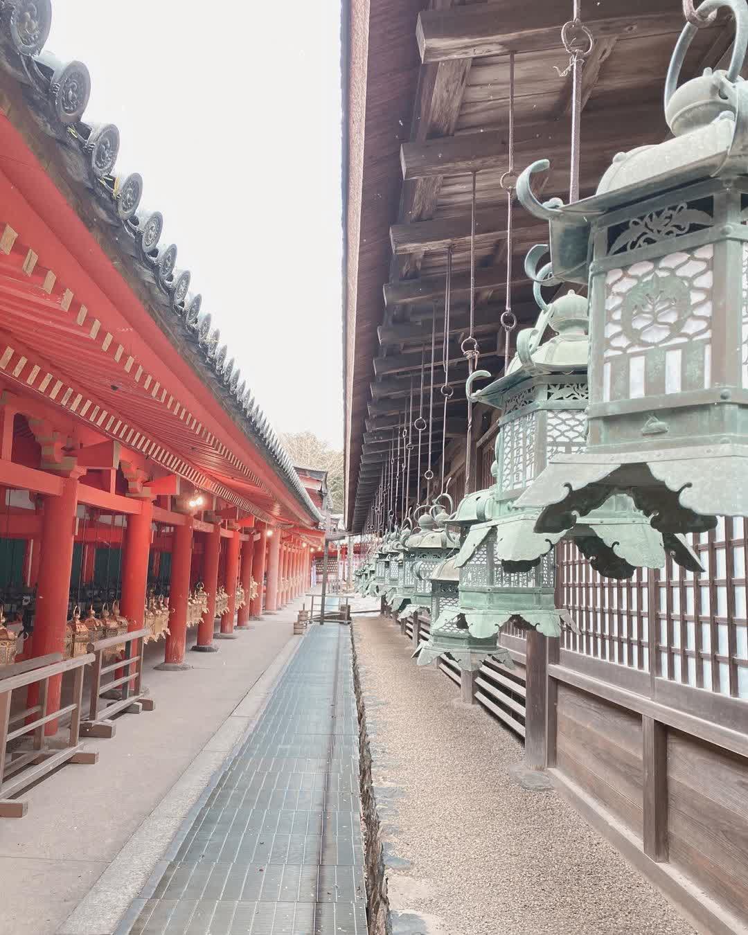 春日大社 | 去趣 chicTrip