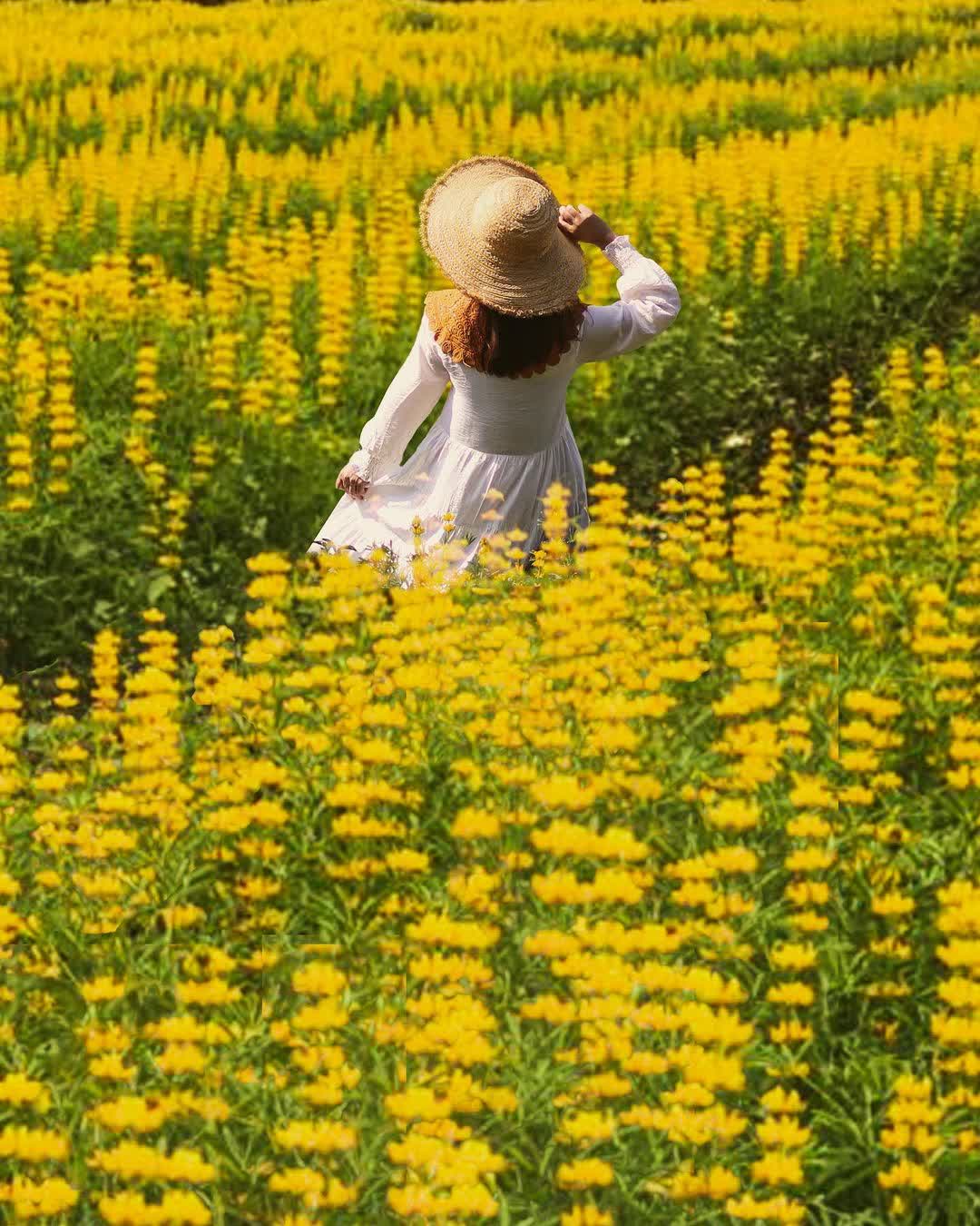 大北坑休閒農業區