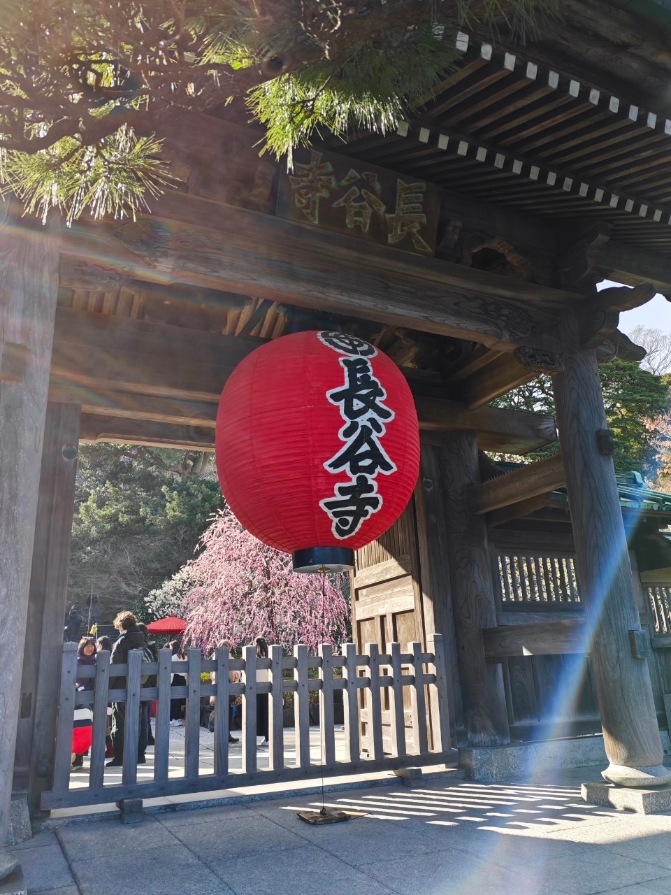 Hasedera | 去趣 chicTrip