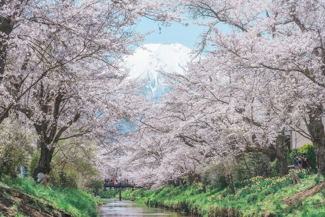 忍野八海 | 去趣 chicTrip