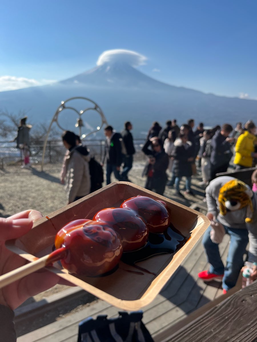 河口湖天上山公園 | 去趣 chicTrip