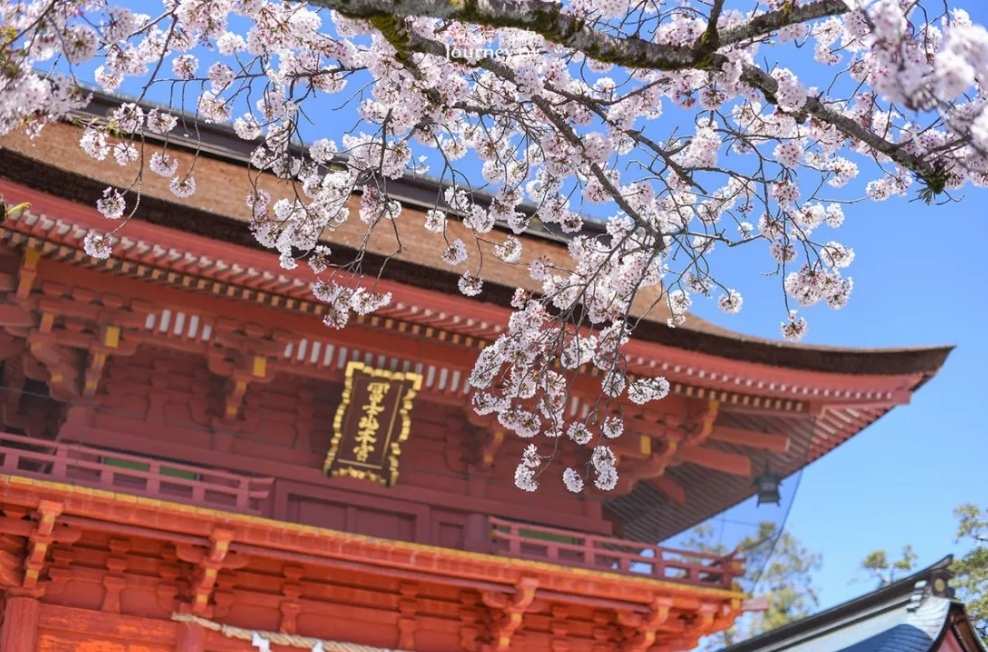 富士山本宮淺間大社 | 去趣 chicTrip