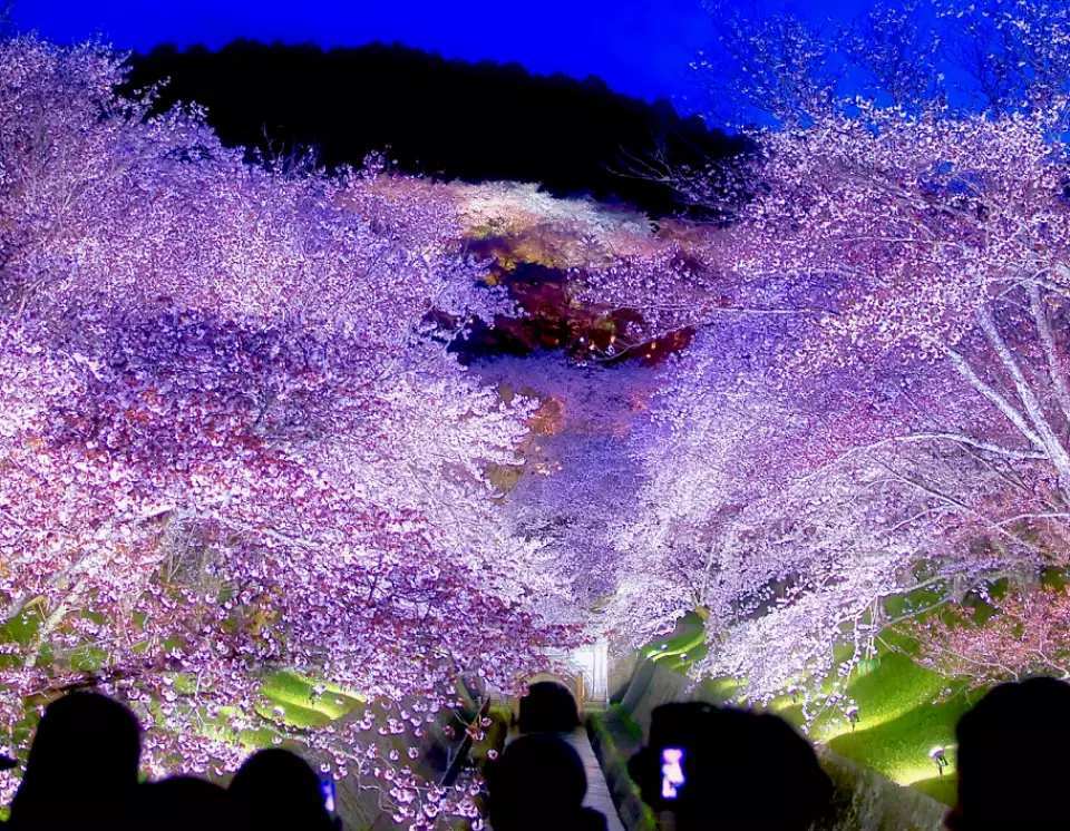 蟹道樂 道頓堀東店 | 去趣 chicTrip