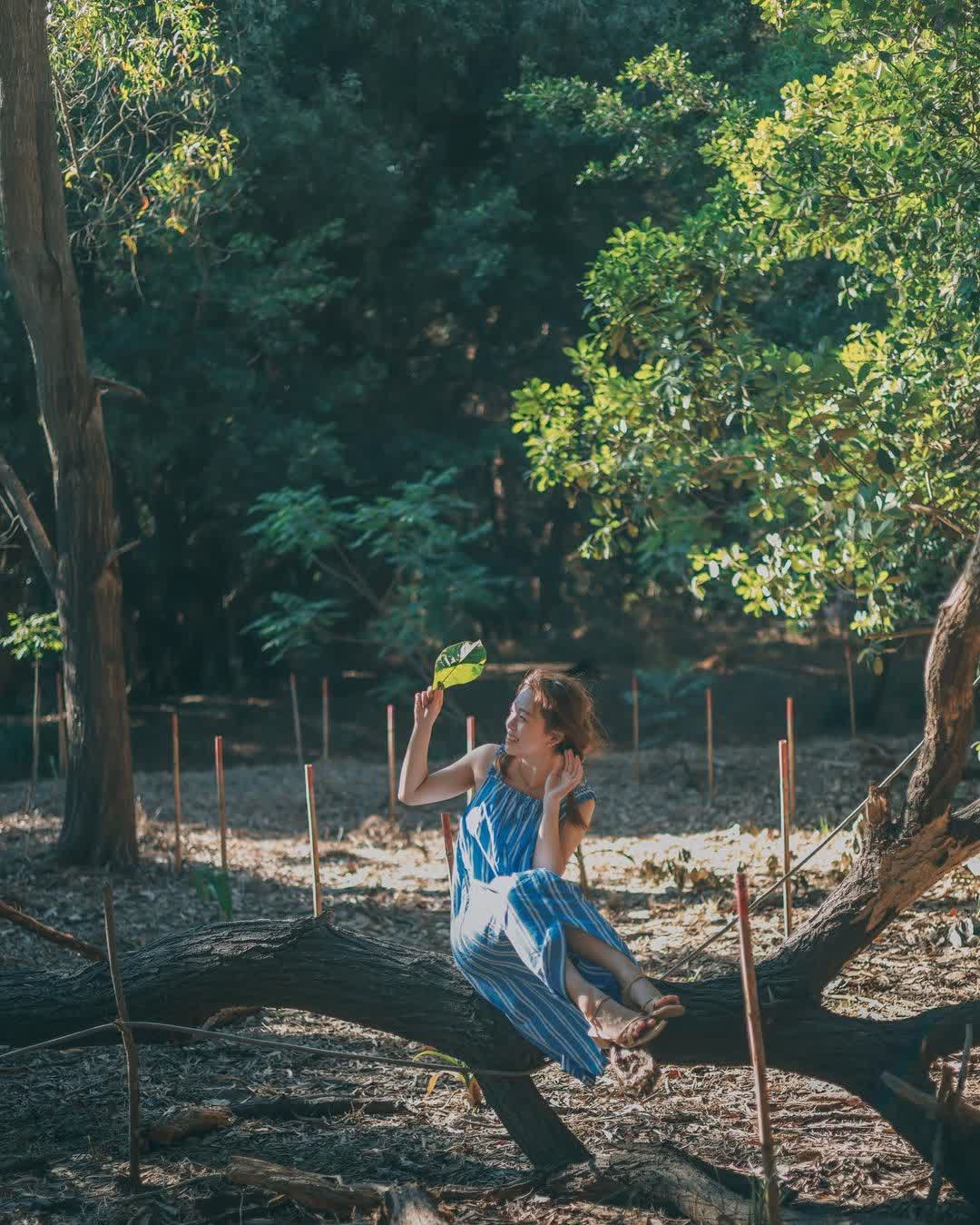 漁光島 | 去趣 chicTrip