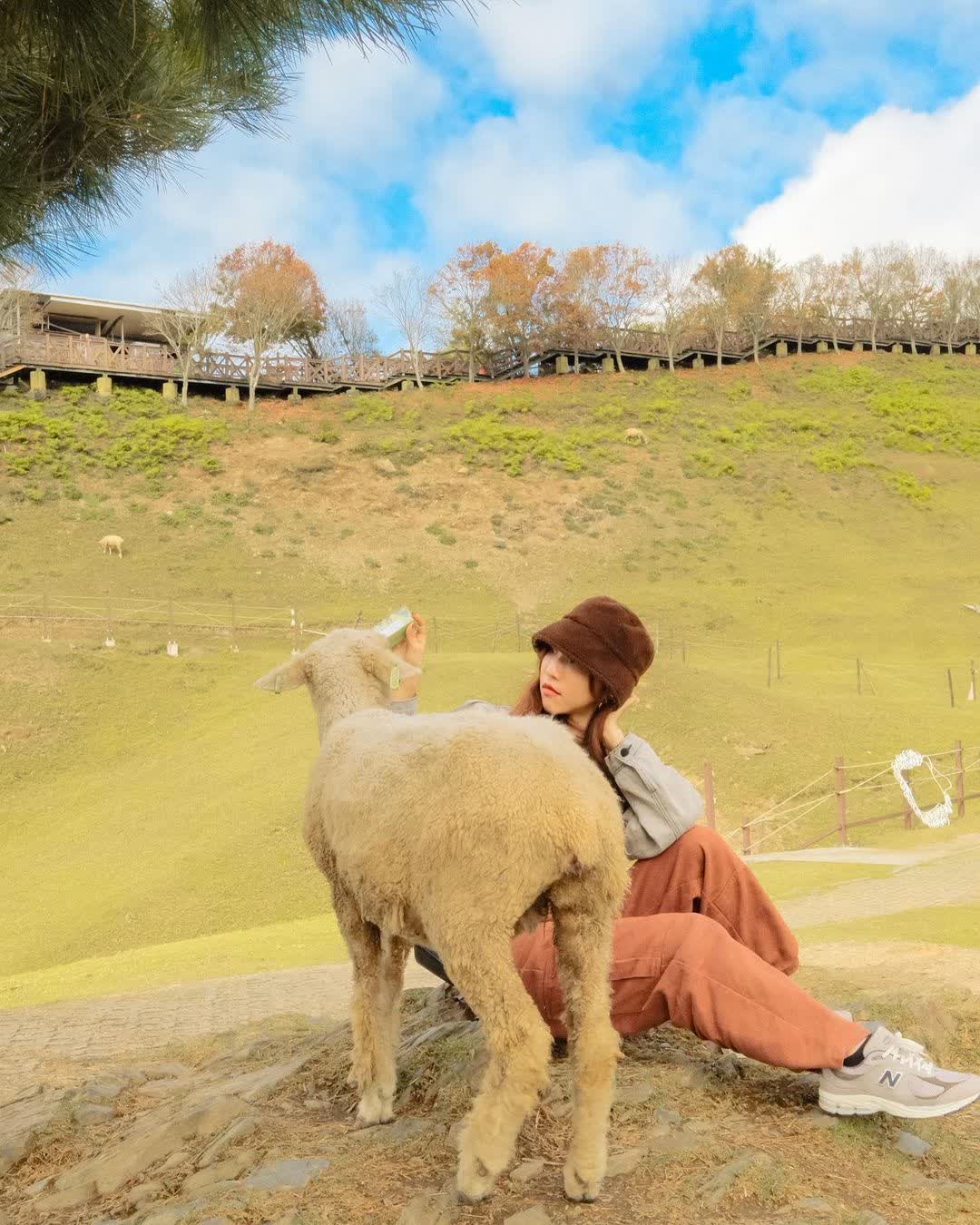 清境農場青青草原 | 去趣 chicTrip