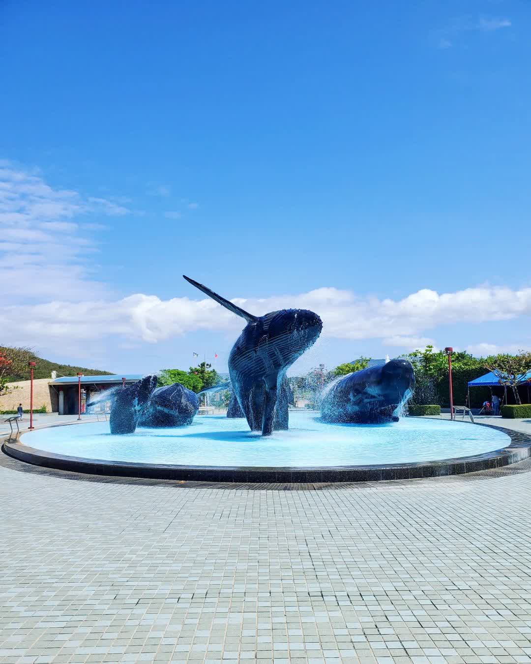 國立海洋生物博物館 | 去趣 chicTrip