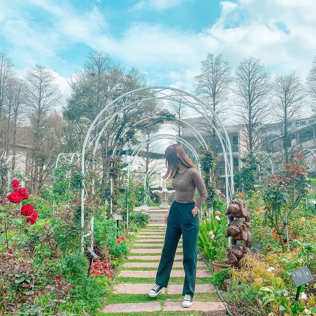 雅聞七里香玫瑰森林 | 去趣 chicTrip