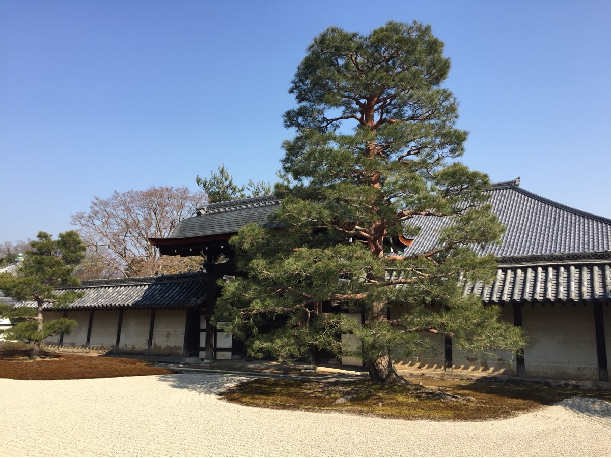 天龍寺 | 去趣 chicTrip