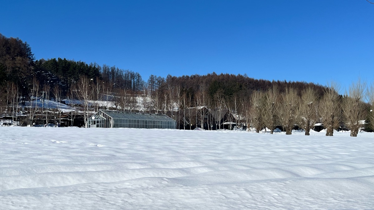 富田農場 | 去趣 chicTrip