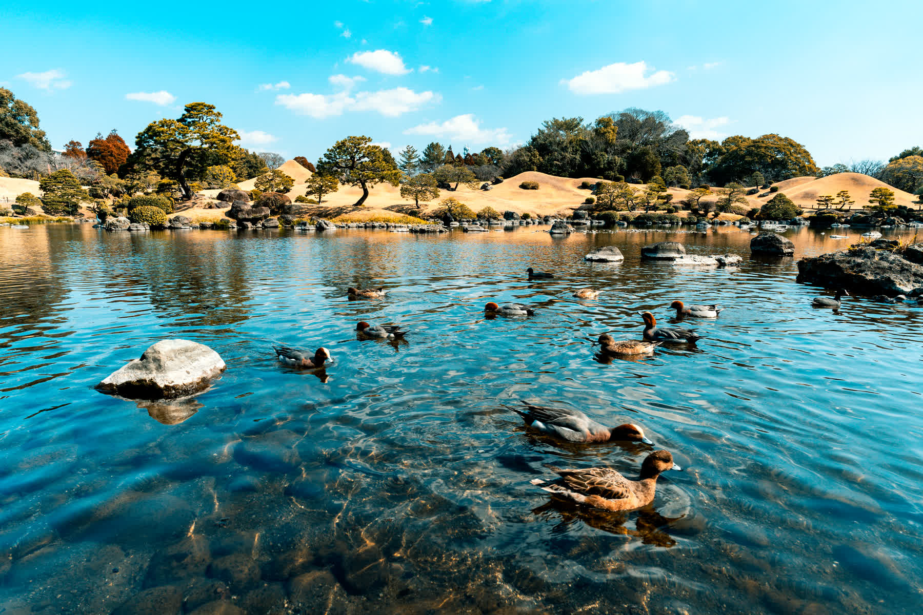 Suizenji Jojuen Garden | 去趣 chicTrip