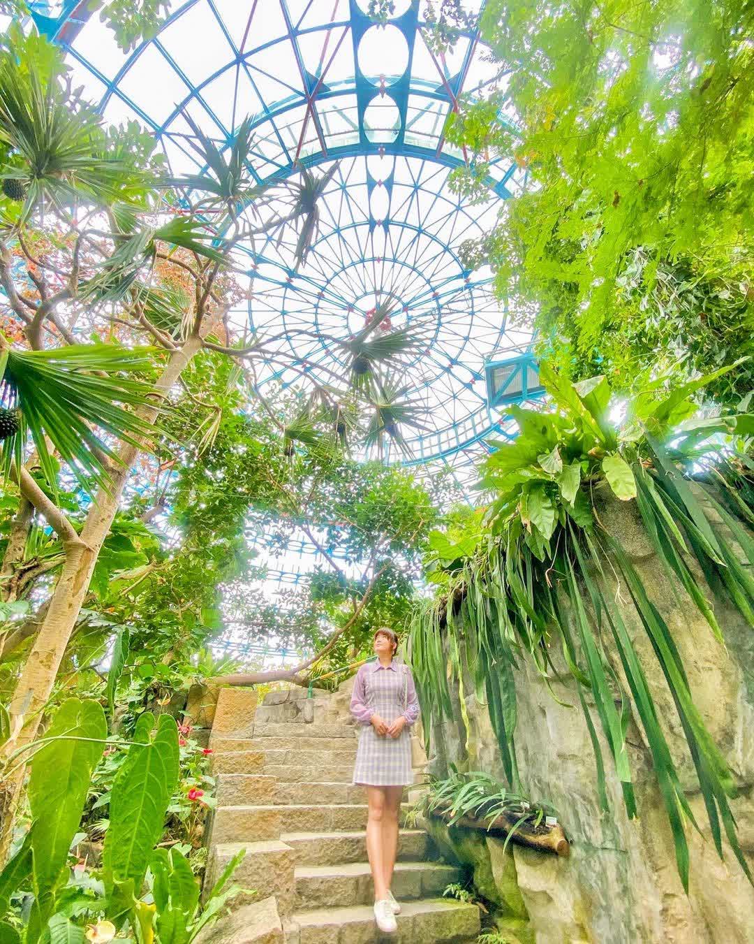 國立自然科學博物館 | 去趣 chicTrip