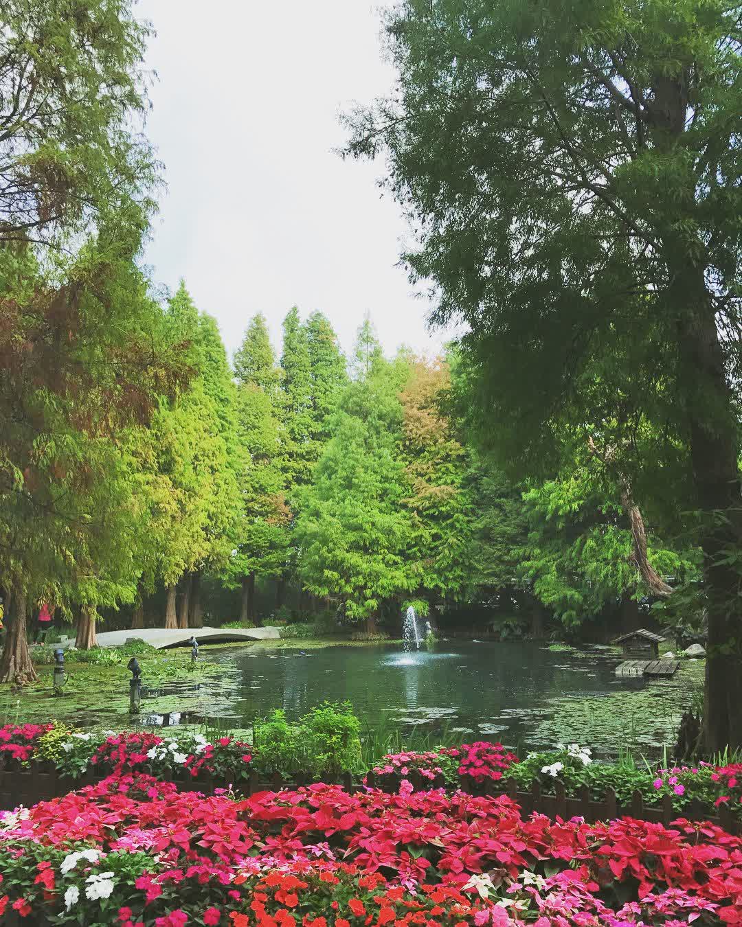 菁芳園 落羽松景觀餐廳 | 去趣 chicTrip