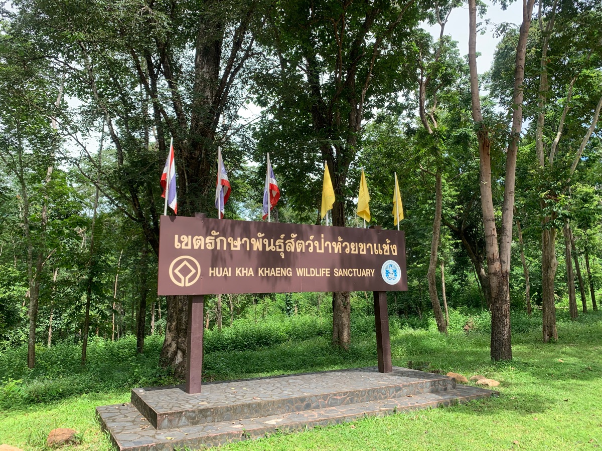 Huai Kha Khaeng Wildlife Sanctuary | 去趣 chicTrip