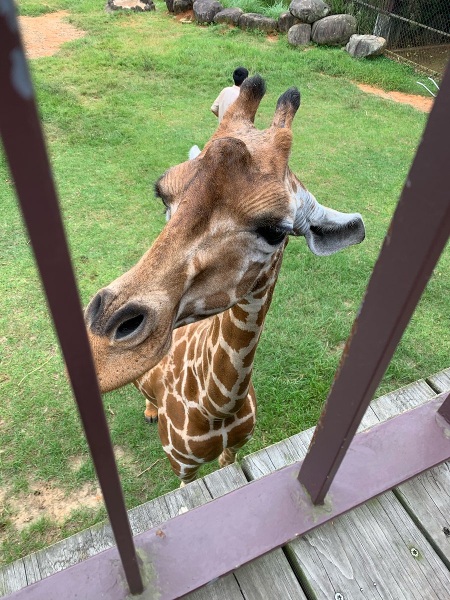 關西六福莊生態渡假旅館 | 去趣 chicTrip