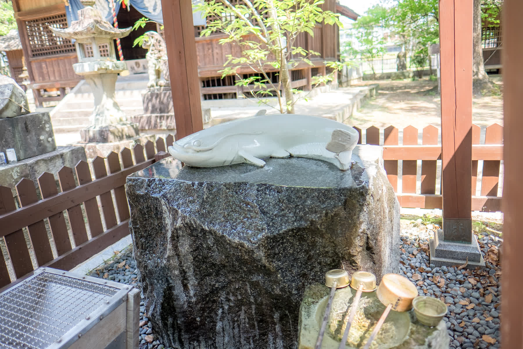 白鯰魚 豐玉姫神社 | 去趣 chicTrip