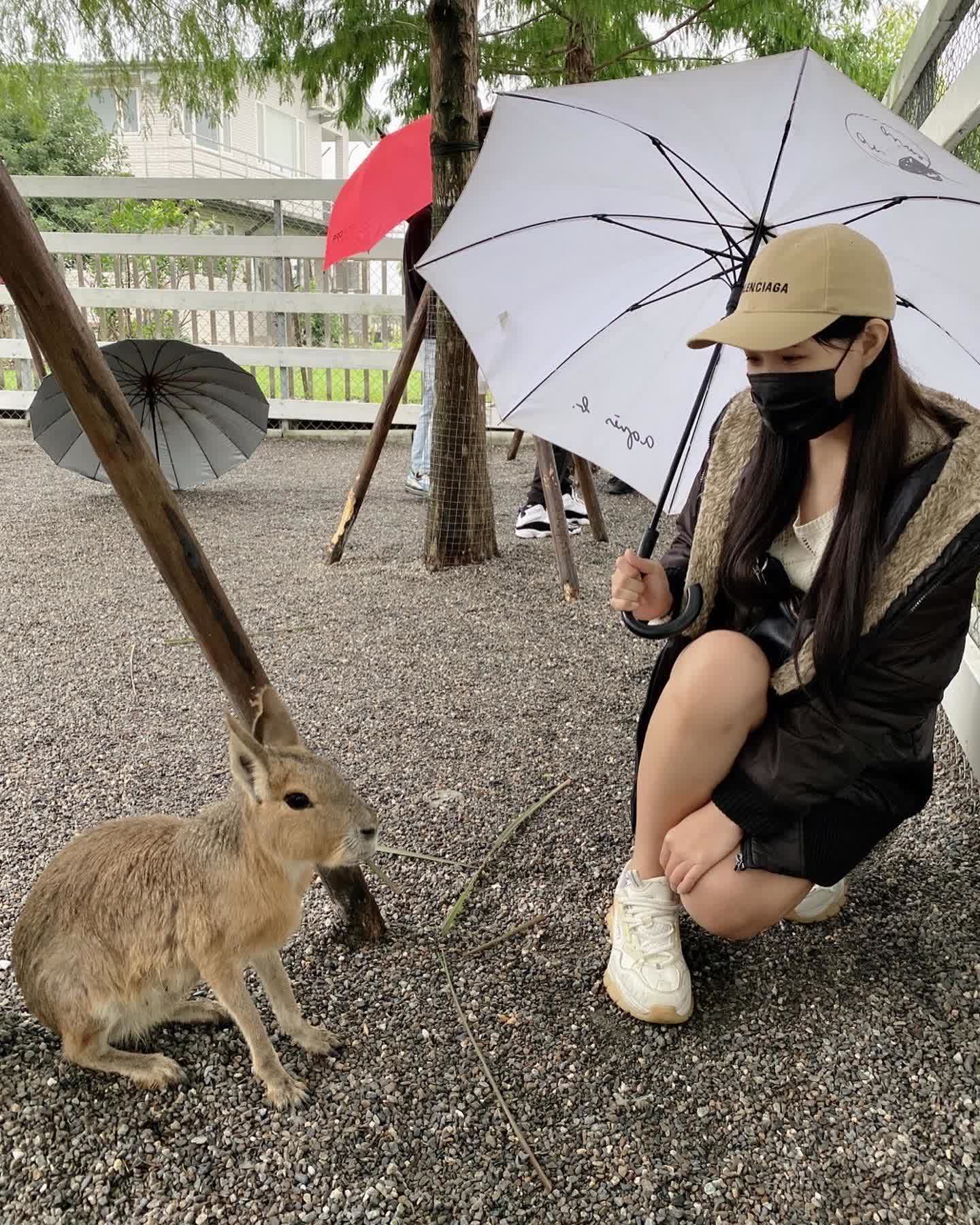 張美阿嬤農場（月森甯手作工坊） | 去趣 chicTrip