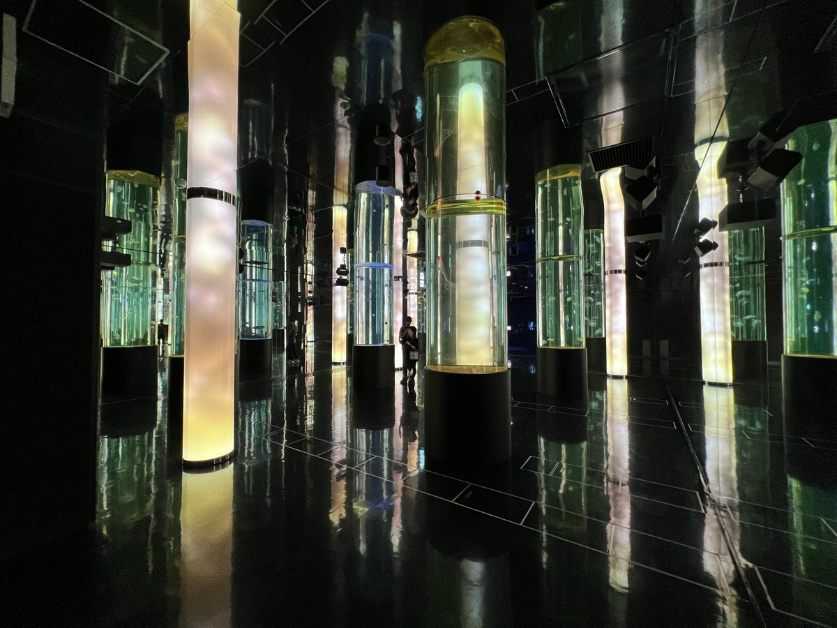 DMM Kariyushi水族館 | 去趣 chicTrip