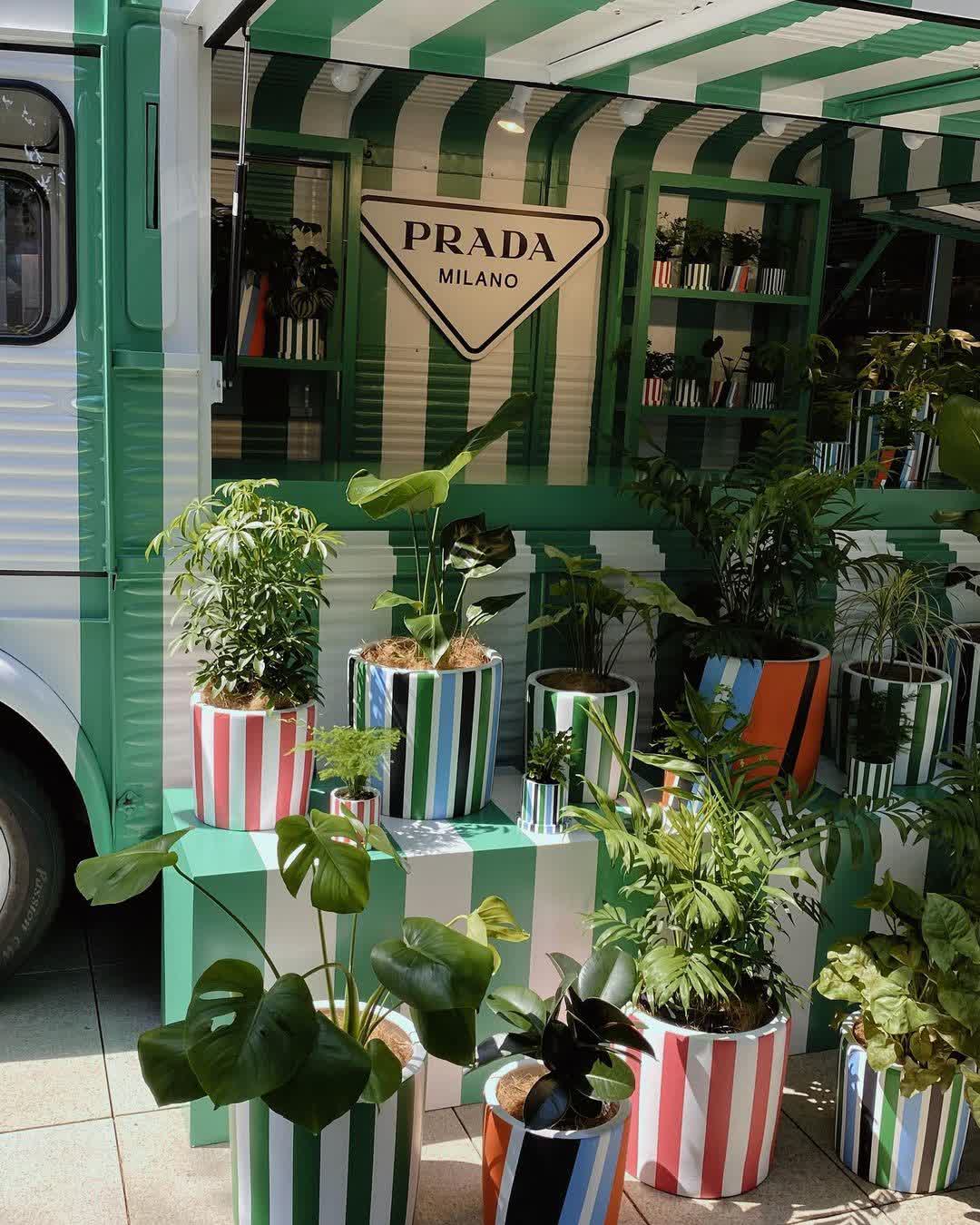 Tsutaya Books Daikanyama | 去趣 chicTrip