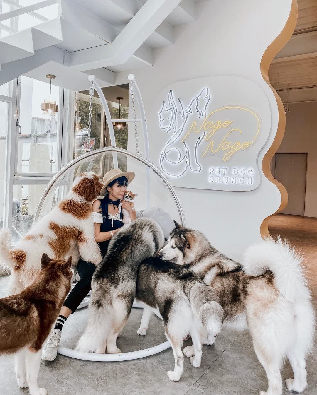 NAGO NAGO-寵物友善餐廳